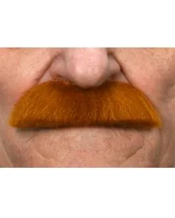 Albert Einstein Schnurrbart Rotblond