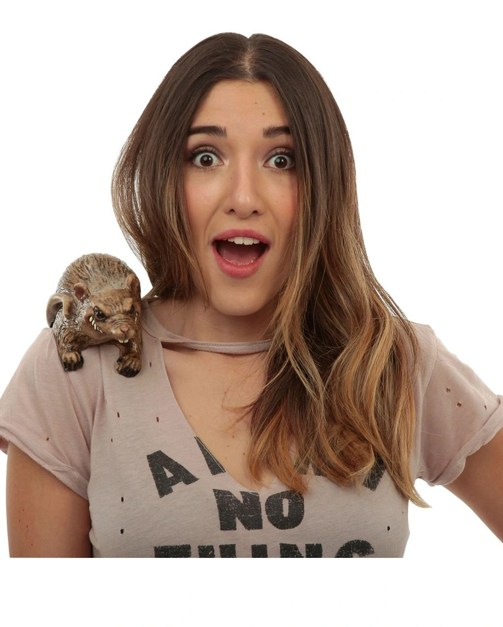 Braune Ratte Als Schulter-Clip