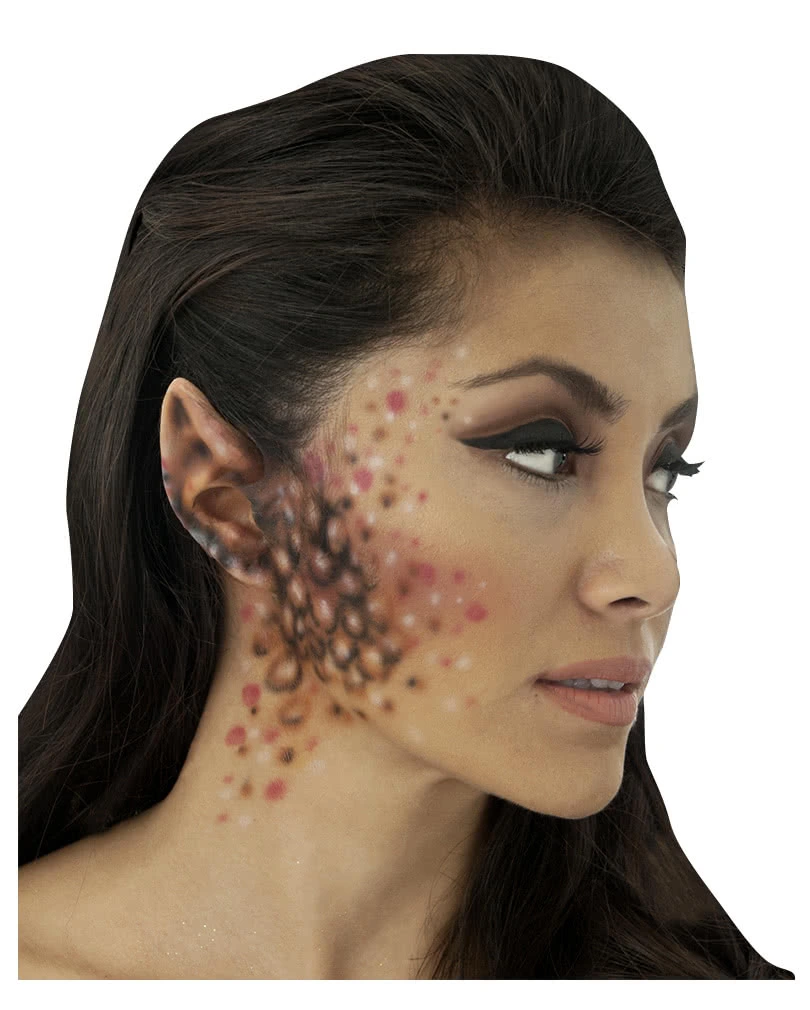 Elfenohren – Bild 2