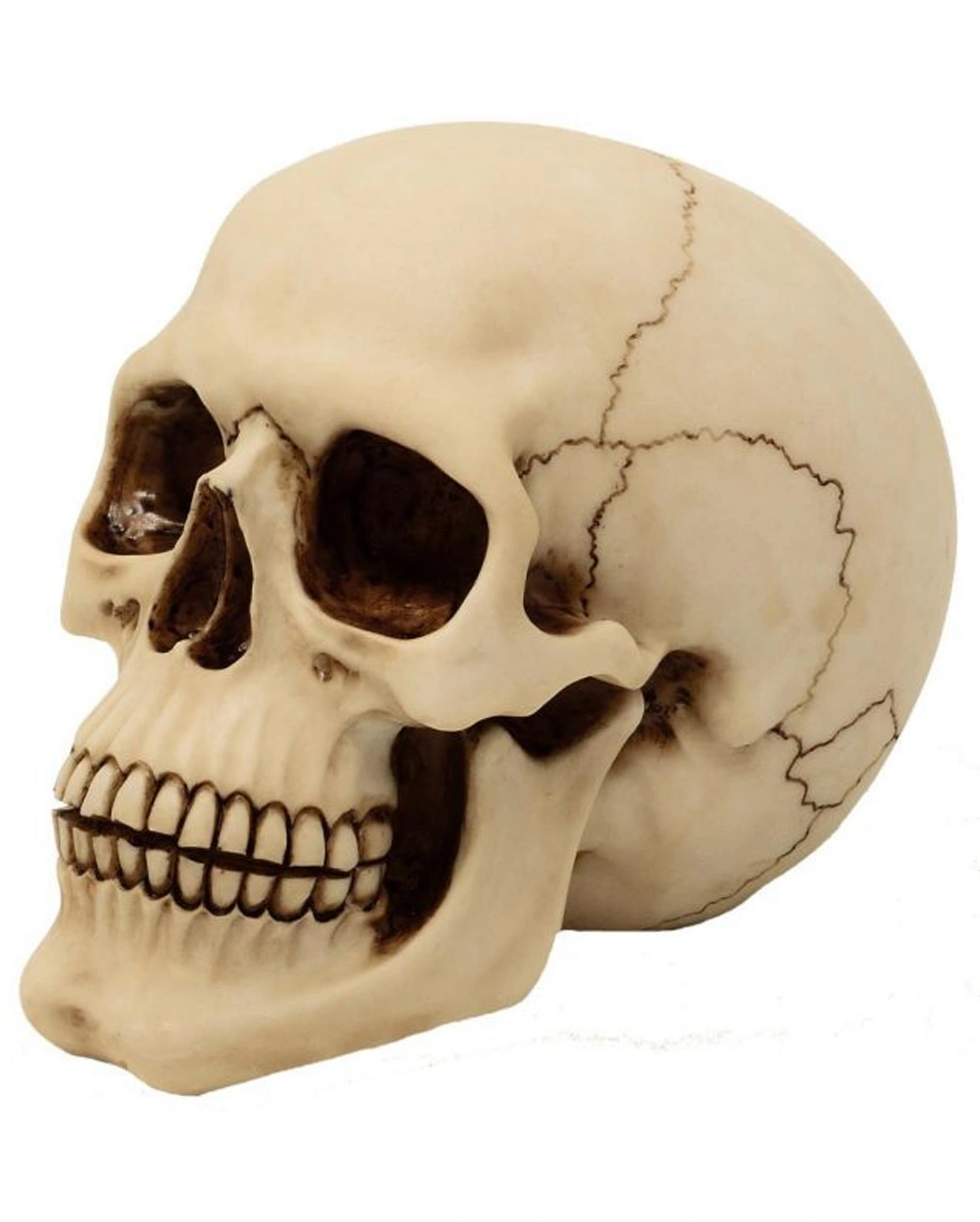 Graveyard Totenkopf Large