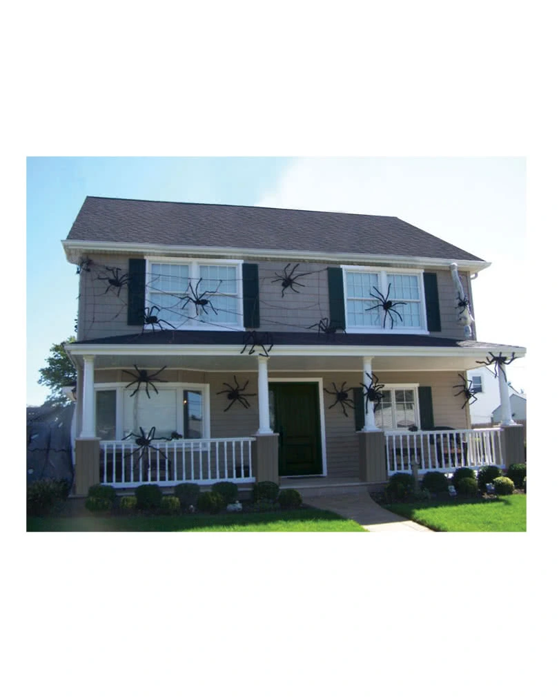 Schwarze Riesenspinne 127cm – Bild 2