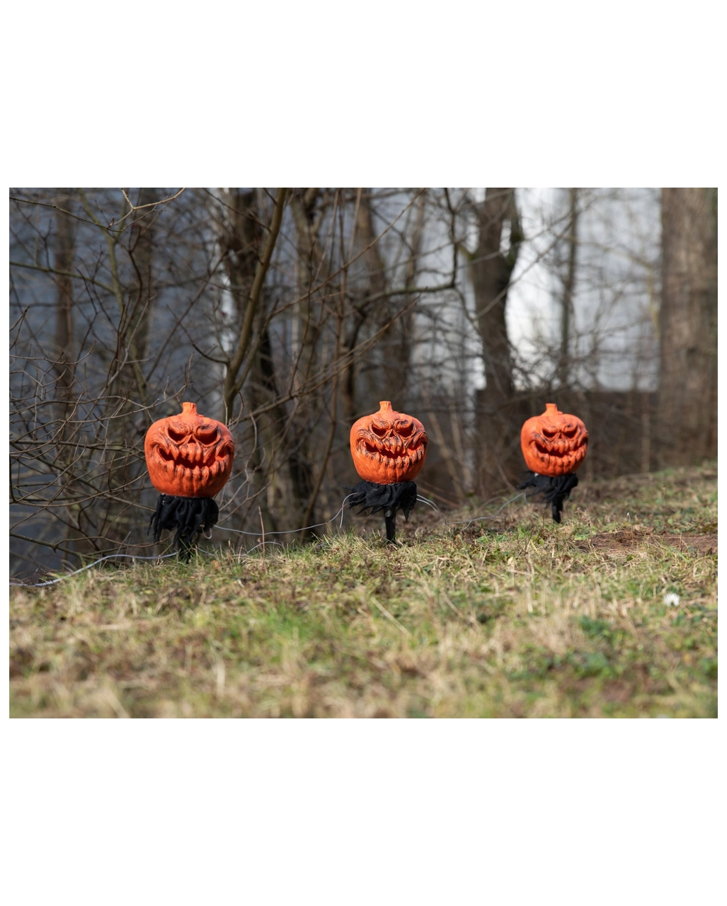 Halloween Kürbis Mit Erdspieß 3er-Set – Bild 5