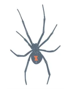 Knast Klebetattoo Schwarze Witwe