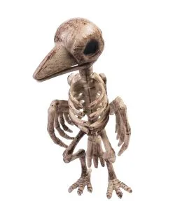 Realistisches Raben Skelett Halloween Deko