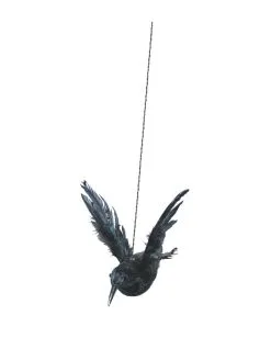 Rabe Mit Aufgestellten Flügeln