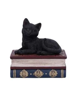 Schwarze Katze Auf Zauberbücher Box 11,7cm