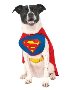 Superman Hunde Kostüm M